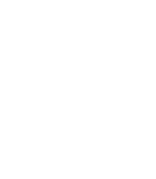 Privacy Icon